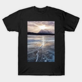 Webs of Cracks T-Shirt